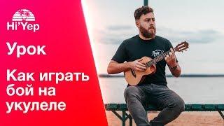 Укулеле для новичков. Как играть бой на укулеле? | Бой шестерка, Бой восьмерка, Бой с глушением