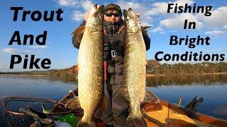Rapala Countdown was super effective on this fishing trip !!