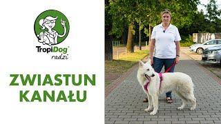 Tropidog radzi #00 - zwiastun kanału