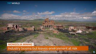 Money Talks: Mongolia mining industry, interview with Shamim Chowdhury