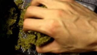 Ep 85 CITRALAH 1080p Weed Review SOMA Seeds Bud Ganja Upclose