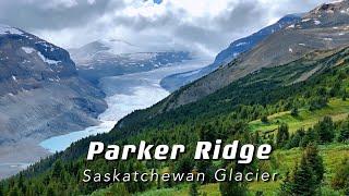 Hiking Parker Ridge Along Icefields Parkway