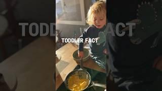Toddler parenting tips!!