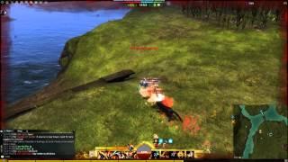 Gw2 Warrior WvW Commentary Hammer/GS