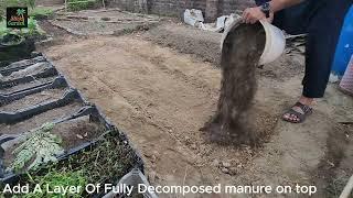 Transform Dead Soil into a Plant Paradise in Just a Few Days