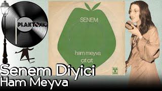 Senem Diyici - Ham Meyvayı Kopardılar Dalından