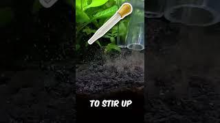 Say Goodbye to Dirty Planted Tanks: A Step-by-Step Gravel Vacuuming