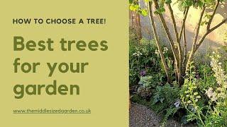 Trees for small gardens - expert tips and new ideas