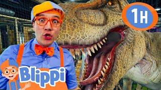 Blippi Learns How To Talk to Dinosaurs! | Blippi - Sports & Games Cartoons for Kids