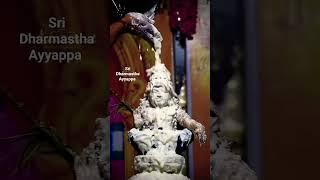 #ayyappaswamy #ayyappawhatsappstatus #sabarimala #dharmasastha #ayyappaswamysongs #ayyappan