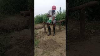 Farmer's Rat Killing 86 #shortsfeed #rattrap #farming #survival #viralvideo #hunt
