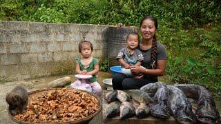 How to harvest turmeric and giant fish - bring it to the market to sell with your children