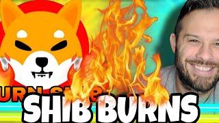 Shiba Inu Coin | SHIB Burns Are Rising Fast! Very Strong Sign!