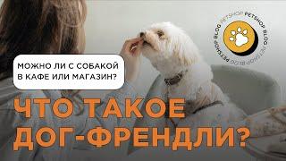 Что такое дог-френдли? Идем с собакой в ресторан!