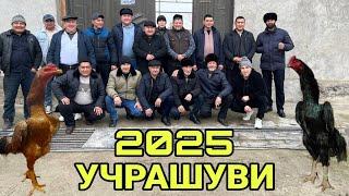 ПАРВОЗЛАР УЧУН ЯНГИЛИК/ПАРВОЗЛАР ТУПЛАНДИ.06-Январь 2025