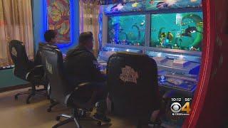 Raided Arcade Owners Say They Provide Games of Skill, Not Gambling