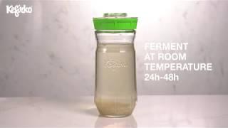 HOW TO MAKE WATER KEFIR WITH KEFIRKO KEFIR MAKER