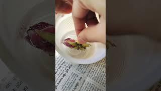 ️  #resin #diy #love #trending #easyresin #yashika #instagram #reels #story #craft