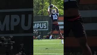 Judkins with the jumping catch!