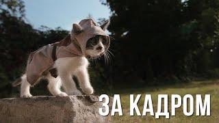 [За Кадром] Котята Ассасины