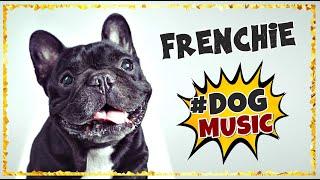 Dog Music For Frenchies ~ Music for French Bulldogs ~ Music for Dogs to Sleep