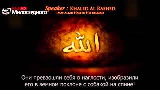 О, Умма Мухаммада с.а.с проснись!