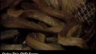 ARK OF THE SUN GOD (1983) - Trailer