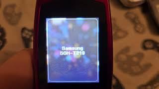 Samsung SGH-T219 (2007) - Startup and Shutdown