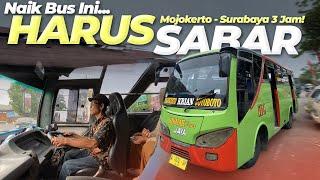 GAK MASUK AKAL, SURABAYA-MOJOKERTO TEMBUS 3 JAM?? Trip Bus Ijo Legend Joyoboyo-Mojokerto