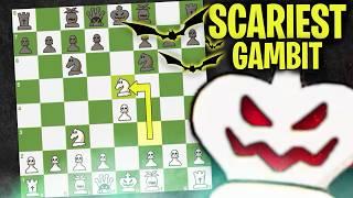 Halloween Gambit ACTUALLY DOMINATES | Chess Openings