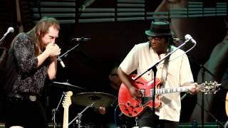 AINT THAT COLD - Joe Louis Walker & The Blues Rebels: Dov Hammer, Andy Watts & The Hillels