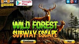 Wild forest escape walkthrough