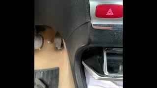 VDC system failure alfa Romeo 156