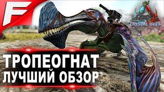 Тропеогнат (Tropeognathus) в ARK. Лучший обзор: приручение, разведение и способности  в АРК