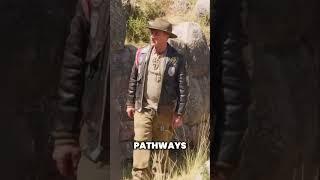 Mysteries of Sacsayhuamán: Inca Tunnels and Hidden Gold