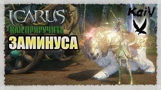 Icarus. Как приручить Заминуса.