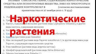 Растения содержащие наркотические вещества