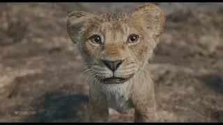 Disney's Mufasa: The Lion King | Rafiki Family | In Cinemas Now