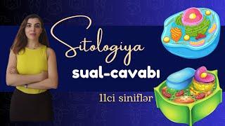 Sitologiya (11lərlər sual-cavab)