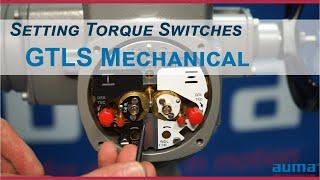 AUMA Actuators - Setting Torque Switches  - GTLS Mechanical