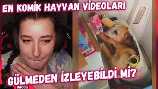 Pqueen Gülmeden Video İzleyebilir Mi?