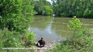 ДИКИЕ ПОКЛЕВКИ НА КАЖДОМ ЗАБРОСЕ