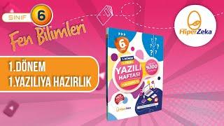 6. Sınıf Fen Bilimleri 1. Dönem 1.Yazılı - 2024 (açık uçlu sorular)