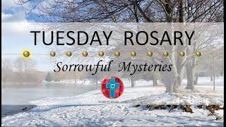 Tuesday Rosary • Sorrowful Mysteries of the Rosary  March 11, 2025 VIRTUAL ROSARY - MEDITATION