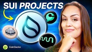 TOP Sui Projects to Watch in 2024! (Navi, Cetus, Abyss World)