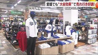 ワールドシリーズ出場“大谷効果”松前町のスポーツ店でグッズ人気「キャップは非常に好調」【愛媛】 (24/10/30 18:55)