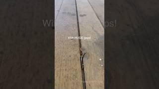 HUGE gaps in floor 