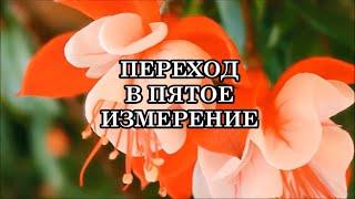 ПЕРЕХОД В ПЯТОЕ ИЗМЕРЕНИЕ. Послание Отца-Абсолюта