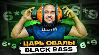 Овальный сабвуфер? DL Audio Phoenix Black Bass 69