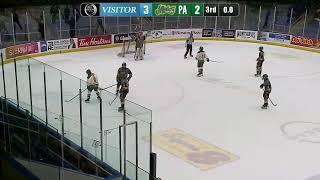 PA Mintos vs Warman Wildcats Dec 21st-2024